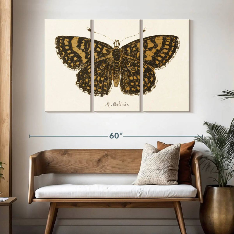 Brampt antique papillon II, H 32 po x l 50 po