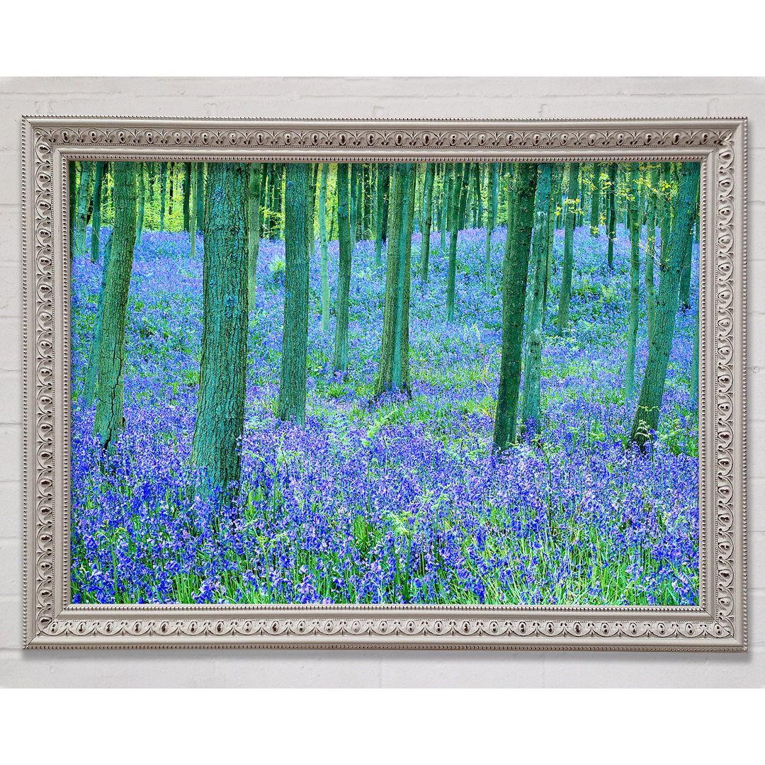 Bluebells In The Forest - Einzelne Bilderrahmen Kunstdrucke