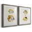 «Yellow & Gray Fish I», ensemble de 2 reproductions d'art sur toile encadrées