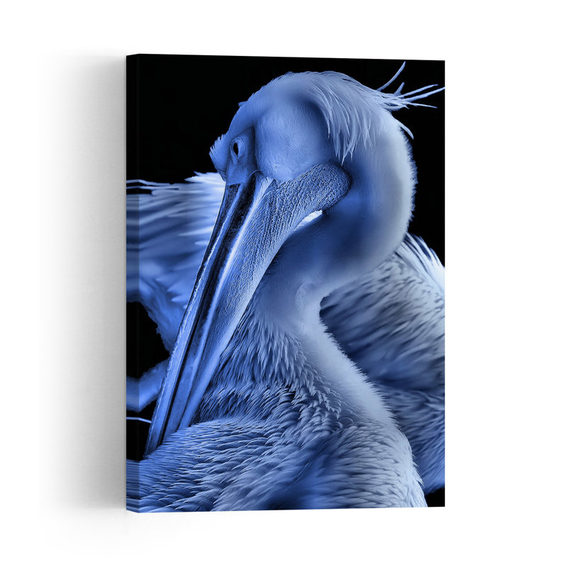 Majestic Blue Pelican Elegant Peaceful Serene Bird Pelican Nature Portrait Wall Art Print 1 Piece Wrapped Canvas Wall Art