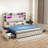 Industrial Bookcase Platform Bed-919933326-919933321