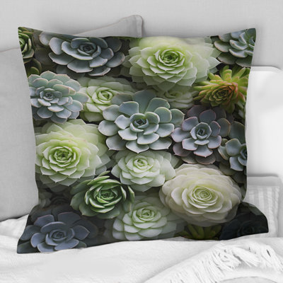 Green Succulents Flowers Serene Succulents II - Succulent Printed Throw Pillow