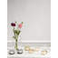 Primula Tealight Candle Holder-516490785