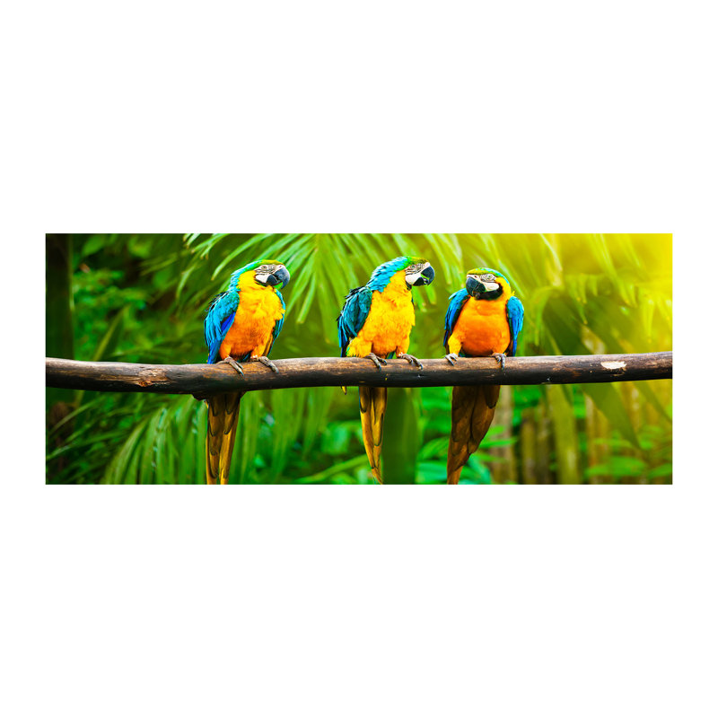 Parrots On The Branch - No Frame Print on Canvas