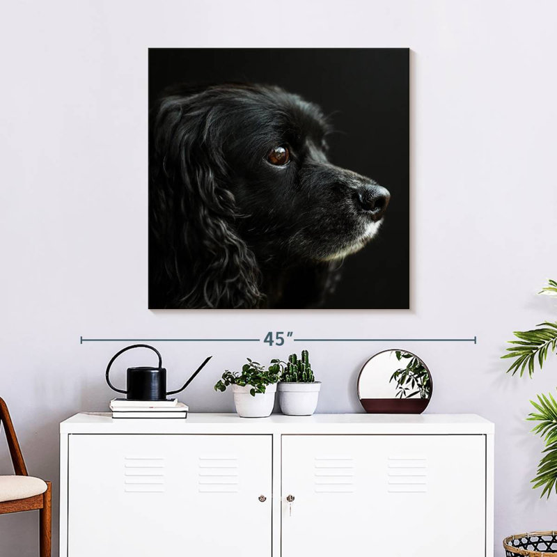 Crowle Cocker Spaniel Portrait, 30" H x 30" W