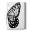 Ailes monochromes I - impression sur toile tendue-2083264895
