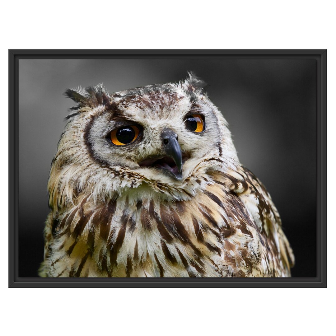 Gerahmter Fotodruck Beautiful Wood Owl