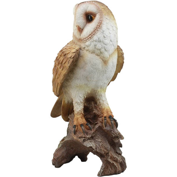 Hi-Line Gift Ltd. Barn Owl on Stump with Open Wings Statue & Reviews ...
