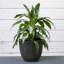 Ensemble de pots à fleurs 3 pièces-516122983
