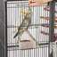 175.5cm Flat Top Floor Bird Cage with Wheels