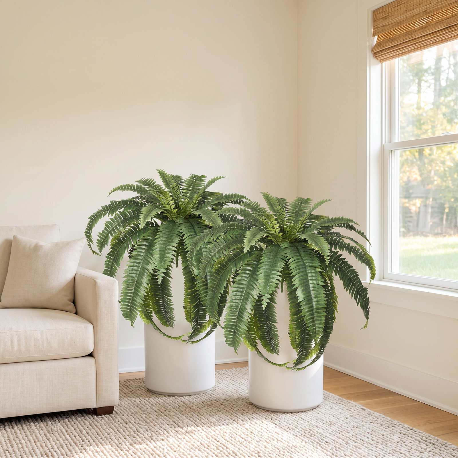 Adcock 39" Fern Plant, 2