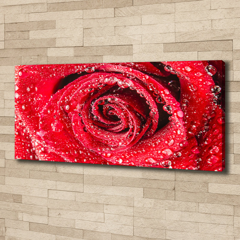 Water Drops On A Rose - No Frame Print on Canvas
