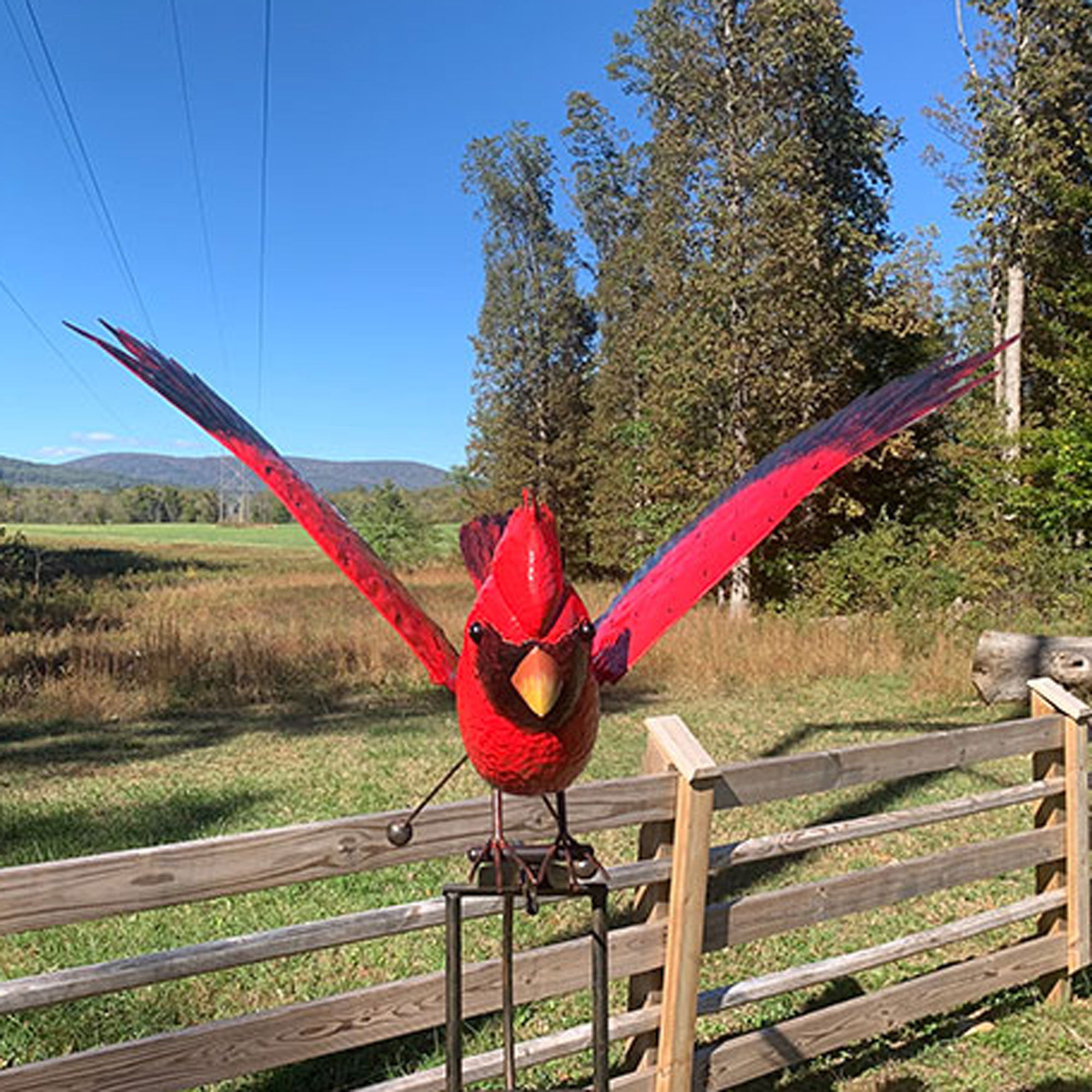 Arlmont & Co. Esschert Staked Metal Giant Flying Cardinal Rocker, 84