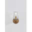 Rex 1 Light Wall Sconce