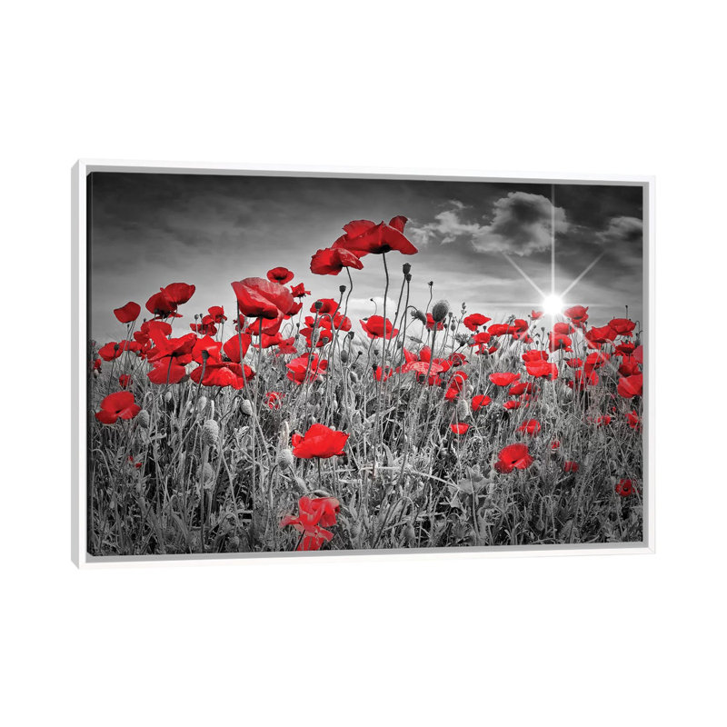 "Champ de coquelicots" par Melanie Viola-impression d’art graphique, H 26 po x l 40 po x P 1,5 po, Toile blanche encadrée
