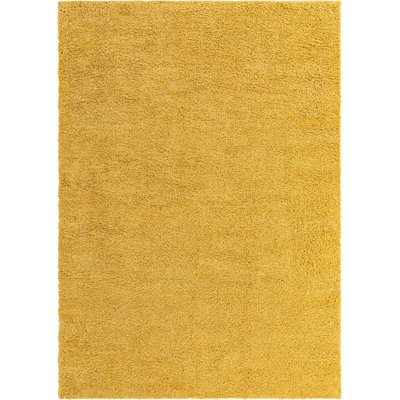 Indoor Rug