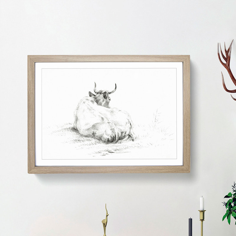 Rear of a Lying Cow by Jean Bernard - Picture Frame Drawing Print, Oak Framed, 27cm H x 36cm W x 2cm D