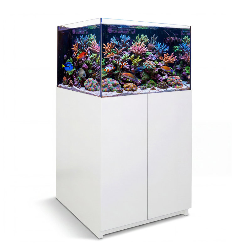  Système d'aquarium sans cadre 115 gallons en verre - réservoir marin ultra transparent avec armoire en aluminium, puisard et plomberie intégrés, blanc
