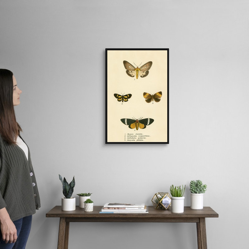 Papillons par English School - reproduction sur toile, H 26 po x l 18 po x P 1,75 po, Cadre noir