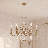  Fairchild 8-Light Chandelier in Warm Brass-988371664-988371671