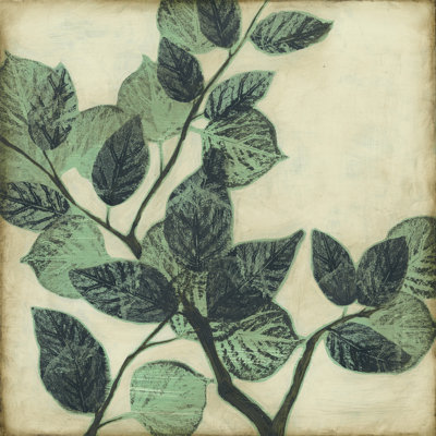 Graphic Leaves II by Jennifer Goldberger - Wrapped Canvas Print
