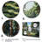 Pine Tree Whispering Pines I - Tree Pine Wall Art-852363449-852363450