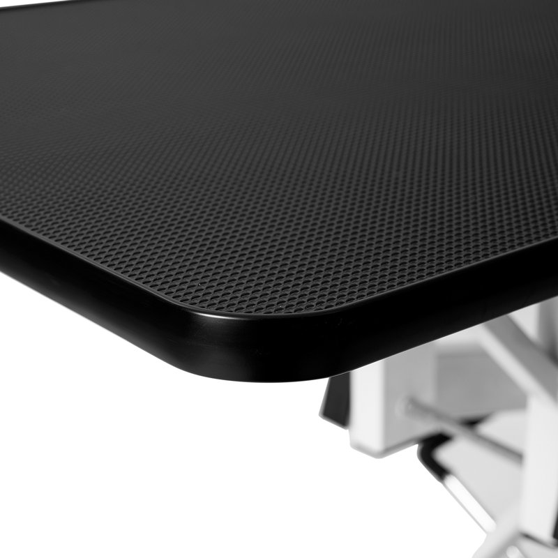 Table de toilettage hydraulique pour chien Z-Lift