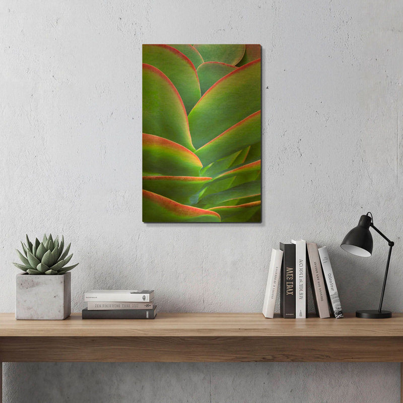 'Succulent VIII' By Dennis Frates Gold Metal Wall Art, 12" x 16", 16 po x 24 po