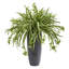 Plante araignée artificielle en pot