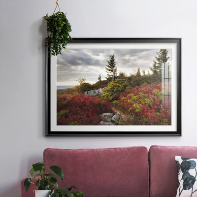 " Highland Trail "