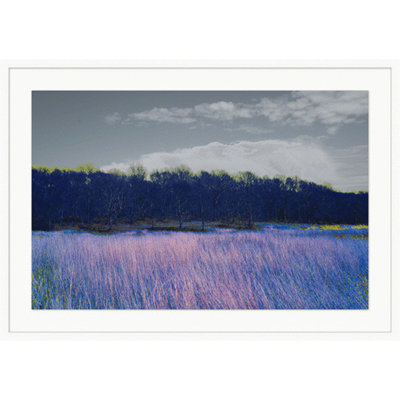 "Fields of Color 2" par Lillian August - Photographie sur papier Shadowbox