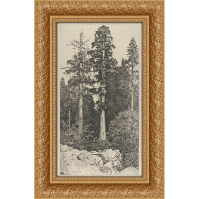 Baby Sequoia (1915)