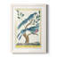 Pastel Birds VI Premium encadré mat - prêt à être accroché-335419411-335419409