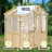 6'W x 6.7'D x 7.7’H Wooden Greenhouse,Cedar Wood and Polycarbonate Walk-In Outdoor Greenhouse 