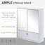 Armoire à pharmacie avec portes et 3 tablettes Loene