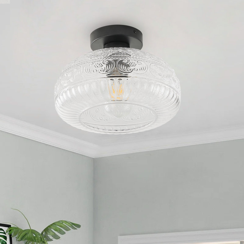 1-lamp Clear Glass Adjustable Iron Ceiling Light