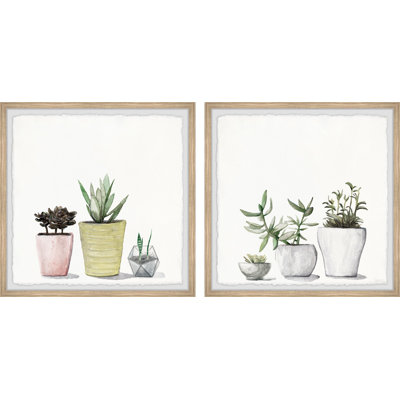 Vases Of Succulents by Parvez Taj - 2 Piece Single Picture Frame Painting Set