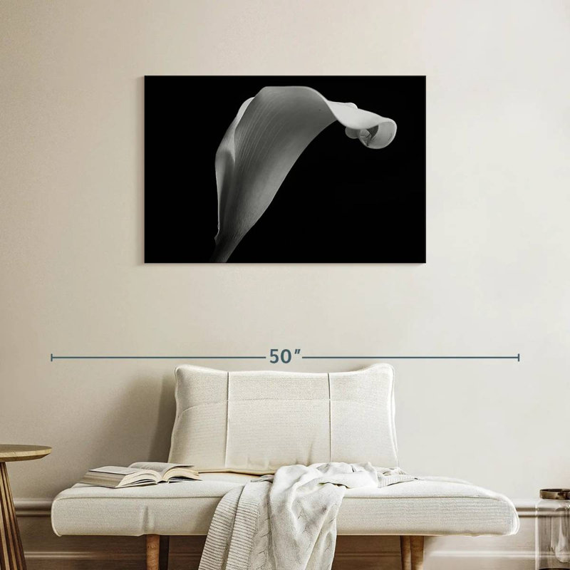 Lys Calla monochrome, H 24 po x l 36 po