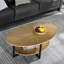Agora Solid Coffee Table with Storage-80131506