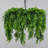 Natural Style Greenery Pendant Light With Chain Cord