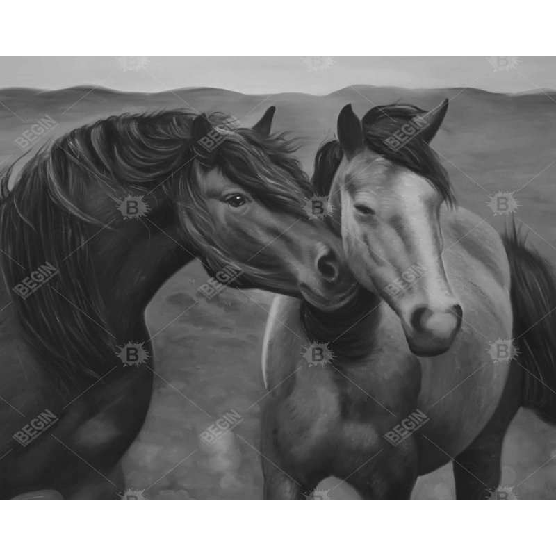 Tendresse - Toile encadrée pour chevaux, H 49,25 po x l 61,25 po