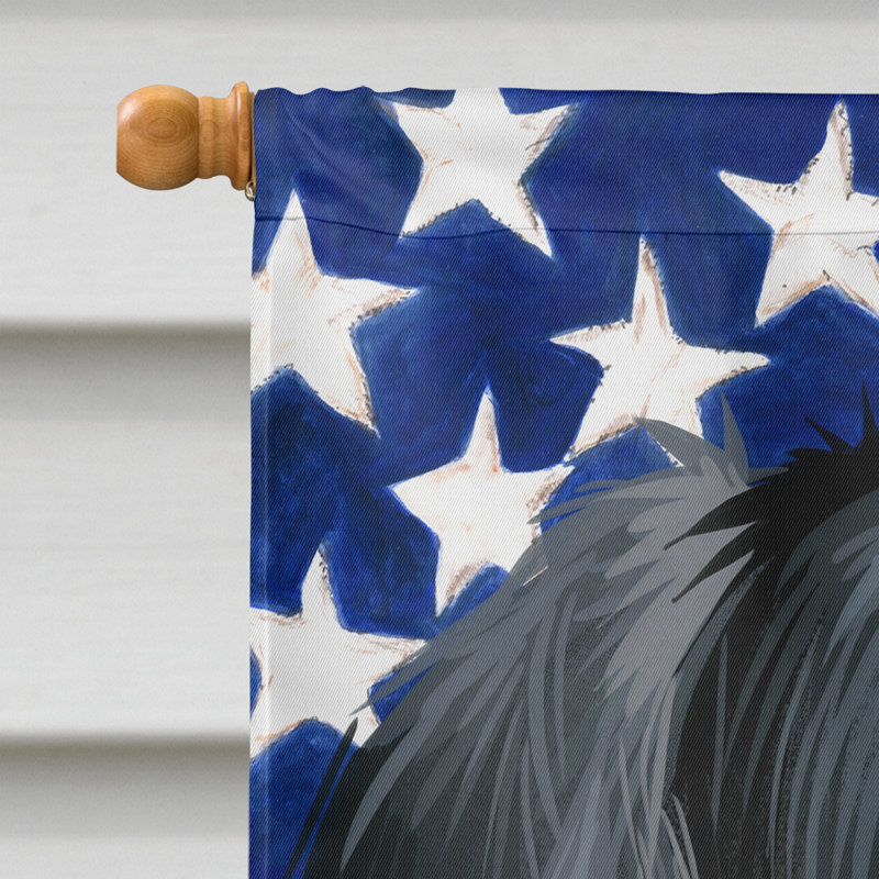 Polyester à 2 côtés 28 x 40 po drapeau maison, Chien de chasse polonais