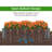 Raised Garden Bed 48X48x10'', Outdoor Wood Planter Box Over Floor, Tool-Free Assembly