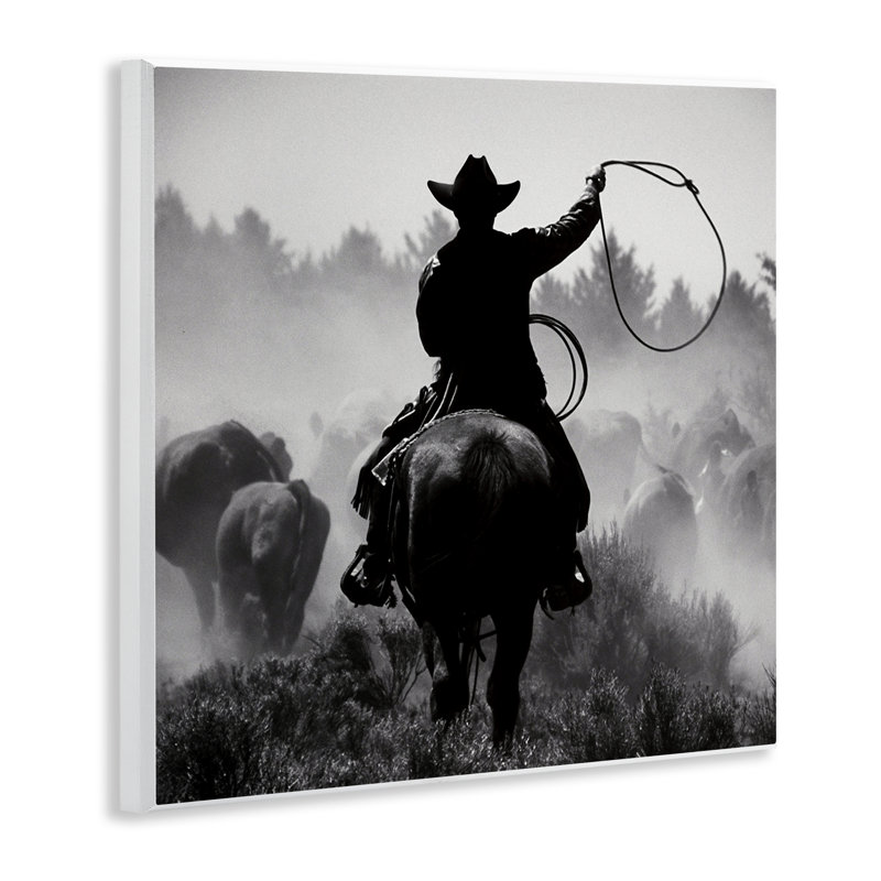 «Cowboy Swinging Lasso» par Danita Delimont