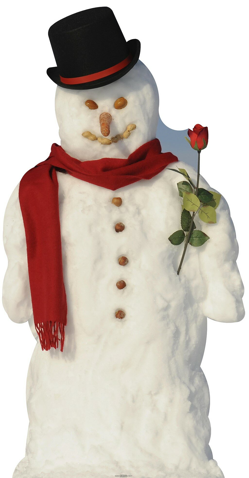 Oriental Trading : Customer Reviews : Snowman Paper Towel Holder