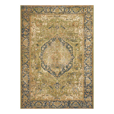 Green Nosara Indoor/Outdoor Traditional Rug
