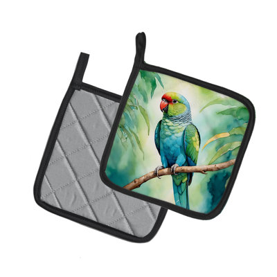 Paire de porte-casseroles African Ringneck