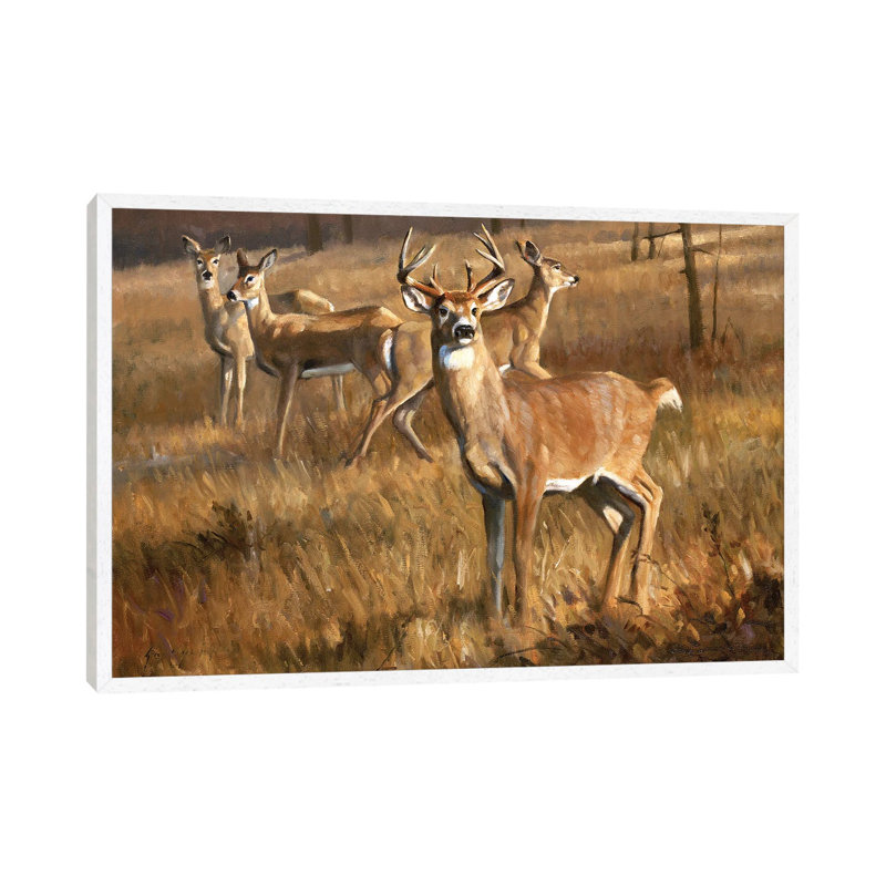 Whitetail Deer by Grant Hacking - Gallery-Wrapped Canvas Giclée on Canvas, White Floater Framed