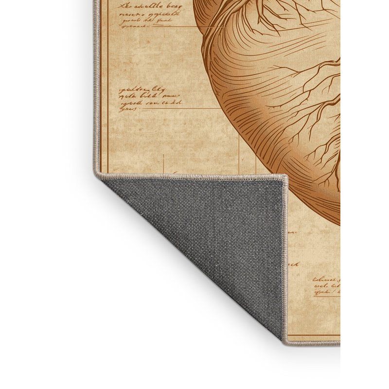 Soft Plush Cadwall Medical Anatomy Sketch Traditional Vintage Look Area Rug in Brown – Beige Binding, 8x10