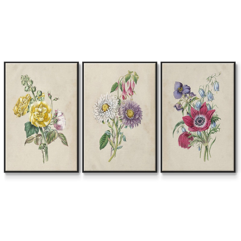 Antique Garden Bouquet I, ensemble de 3 toiles encadrées, Noir, H 36 po x l 72 po